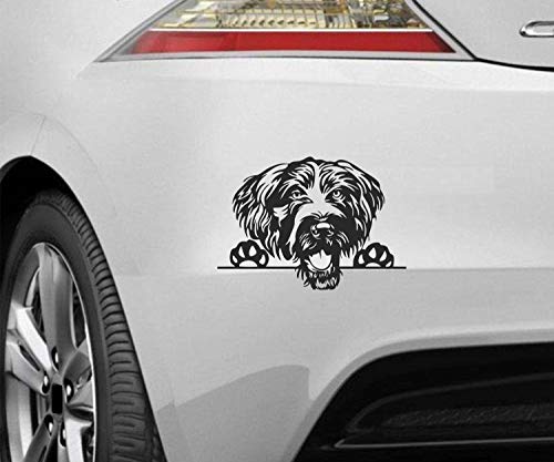 myrockshirt Peeking Dog Spähender Hund Deutsch Drahthaar ca.20cm Aufkleber,Sticker,Decal,Autoaufkleber,UV&Waschanlagenfest,Profi-Qualität,Wandtattoo von myrockshirt