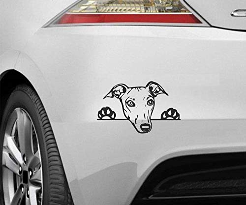 myrockshirt Peeking Dog Spähender Hund Greyhound Windhund ca.20cm Aufkleber,Sticker,Decal,Autoaufkleber,UV&Waschanlagenfest,Profi-Qualität,Wandtattoo von myrockshirt