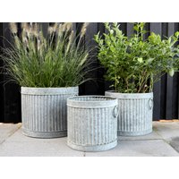 Übertopf Zink Griffring Abgerundeten Rillen 3Er Set Vintage/Shabby Antiklook Garten Terrasse Balkon Pflanztopf Blumenkübel Xxl Übertöpfe Übertopf Zink Griffring Abgerundeten Rillen 3Er Set Vintage/Shabby Antiklook Garten Terrasse Balkon Pflanztopf Blumenkübel Xxl Übertöpfe von myshabbycountrychic
