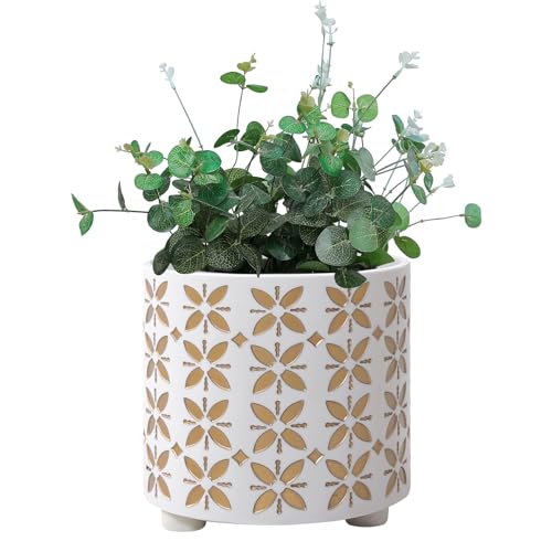 nacltlo 20,3 cm Pflanzgefäß, Pflanztöpfe mit Drainageloch, moderner zylinderförmiger Blumentopf - Innen- und Außenpflanzen für Zuhause & Büro, Weiß & Gold nacltlo 20,3 cm Pflanzgefäß, Pflanztöpfe mit Drainageloch, moderner zylinderförmiger Blumentopf - Innen- und Außenpflanzen für Zuhause & Büro, Weiß & Gold von nacltlo