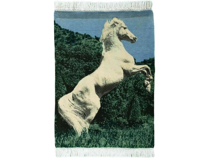 Täbriz 50Raj Teppich 59x82 Handgeknüpft Orientteppich Perserteppich Wolle mit Seide von nain TRADING