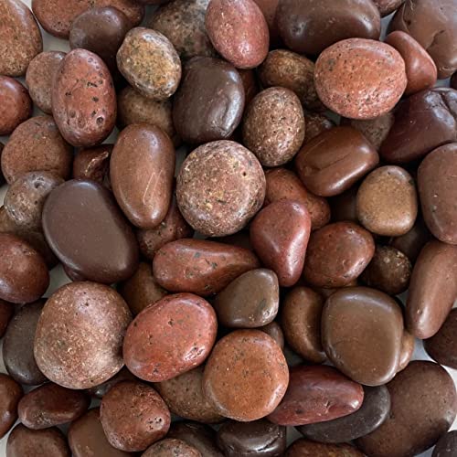 naninoa Flusskiesel ca 20-60 mm 0,5 KG. Flußkiesel, Kieselsteine 500 Gramm. Farbe: braun - DUNKELROT naninoa Flusskiesel ca 20-60 mm 0,5 KG. Flußkiesel, Kieselsteine 500 Gramm. Farbe: braun - DUNKELROT von naninoa