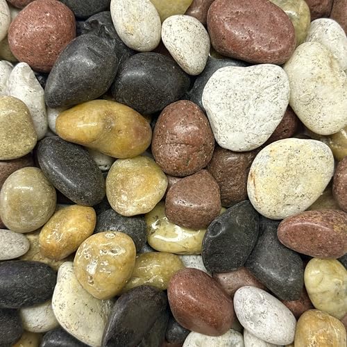 naninoa Flusskiesel ca 20-60 mm 5 KG. Flußkiesel, Kieselsteine 5000 Gramm. Farben GEMISCHT von naninoa