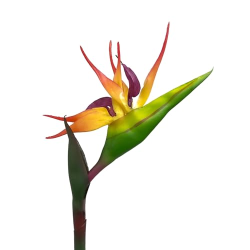 naninoa Künstliche Strelitzie 83cm Kunstblume Paradiesvogelblume Papageienblume Tropische Pflanzen von naninoa