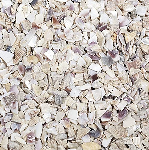 naninoa MUSCHELGRANULAT 2-5 mm. Muscheln gebrochen, Muschelsand, Muschel Bruch. 330 ml. Natur naninoa MUSCHELGRANULAT 2-5 mm. Muscheln gebrochen, Muschelsand, Muschel Bruch. 330 ml. Natur von naninoa