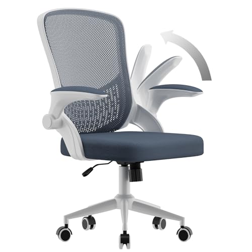 naspaluro Ergonomischer Bürostuhl, Schreibtischstuhl mit 90° Klappbaren Armlehnen, Einzigartige Lendenwirbelstütze, Atmungsaktive Mesh-Polsterung für das Heimbüro, Studie, Dunkelgrau von naspaluro