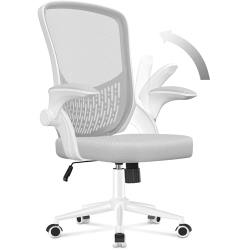 naspaluro Ergonomischer Bürostuhl, Schreibtischstuhl mit 90° Klappbaren Armlehnen, Einzigartige Lendenwirbelstütze, Atmungsaktive Mesh-Polsterung für das Heimbüro, Studie, Grau. von naspaluro