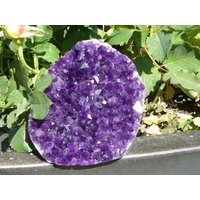 Sehr Schöne Dunkle Amethystdruse Aa Qualität Seiten Anpoliert von naturalmysticsu