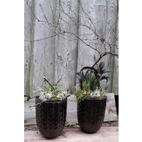 2Er Set Hohe Pflanzgefäße 22 cm X 18 Schale Vase Frostsicher Massiv Blütenschale Frühlingsschale Gefäß Strukturgefäß Schwarz 2Er Set Hohe Pflanzgefäße 22 cm X 18 Schale Vase Frostsicher Massiv Blütenschale Frühlingsschale Gefäß Strukturgefäß Schwarz von naturelive2024