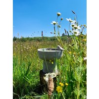 Schale Vogeltränke Vogelbad Pflanzschale 30/35 cm Steinguss Frostsicher Blütenschale Insektentränke Brunnenschale von naturelive2024