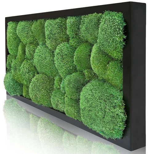 naturewalls Moosbild Kugelmoos - Pflanzenbild Vollholz-Rahmen - XXL - Schwarz | 60 x 30 cm von naturewalls