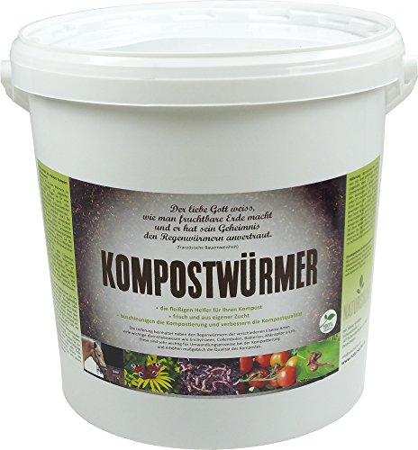 KOMPOSTWÜRMER - 1000 Stück/Eimer - Kompost-Starter Regenwürmer - Eisenia Kompostwurm lebend aktiv - Würmer für Garten & Kompostierung Kompost Komposter Wurmkomposter Wurmkiste Wurmfarm Komposttoilette von Natursache