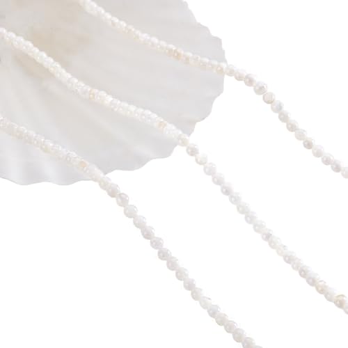 NBEADS 2 Strands Natürliche Süßwasser-Muschelperlen, 2.5mm Weiße Blumenperlenstränge Runde Lose Perlen Für Die Schmuckherstellung, Bohrung: 0.7 mm, ca. 180 Stk./Strang NBEADS 2 Strands Natürliche Süßwasser-Muschelperlen, 2.5mm Weiße Blumenperlenstränge Runde Lose Perlen Für Die Schmuckherstellung, Bohrung: 0.7 mm, ca. 180 Stk./Strang von nbeads