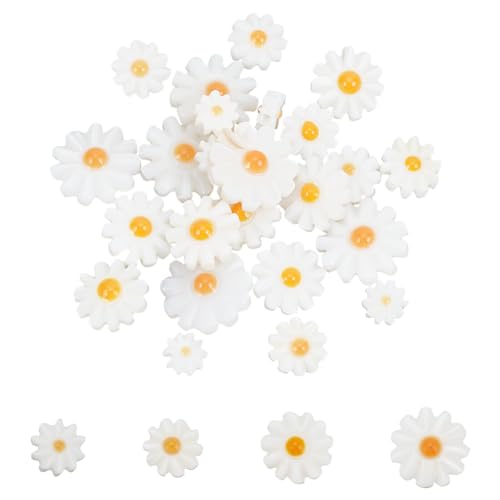 NBEADS 24 Stk. 4 Stile Natürliche Süßwasser Muschel Perlen, Daisy Spacer Perlen n Lose Perlen für DIY Kunsthandwerk Machen Schmuck Armbänder Halsketten Ohrringe, Beige von nbeads