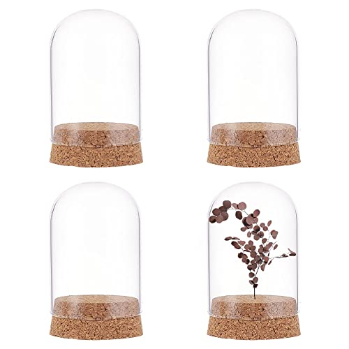 NBEADS 4 Sets Mini Deko Glasglocke, 7x5cm Mini Glaskuppel Ewige Blume Glas Display Dome Cloche Halbrunde Transparente Glas Display Dekorative Vitrine Mit Korkboden für Valentinstag Steine Proben Kunst von nbeads