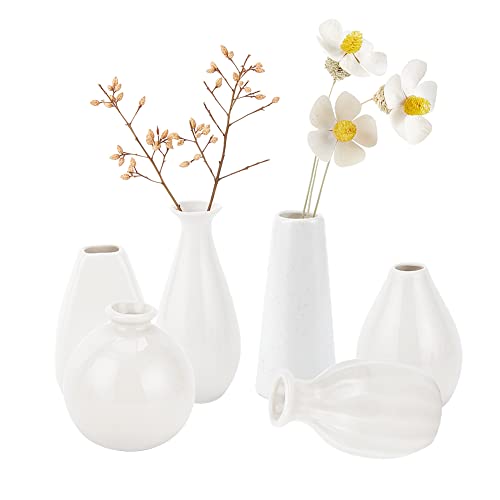 NBEADS 6 Stück Mini Keramik Blumenvase, 6 Styles Rustikale Deko Vase Moderne Bauernhaus-Dekoration Weiße Schlichte Kleine Vasen Für Blumen Kleine Pflanzen Florale Esszimmer Dekoration, 43~65x70~100 mm von nbeads