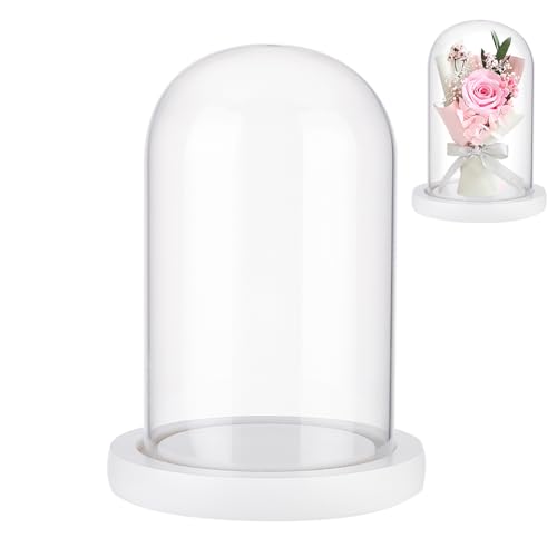 NBEADS Ewige Blume Glas Display Kuppel Cloche, Glas-Display mit Weißem Holzsockel Glockenglas Cloche für Valentinstag Muttertag Blumendekorationen Basteln, 11.3x16.3cm von nbeads