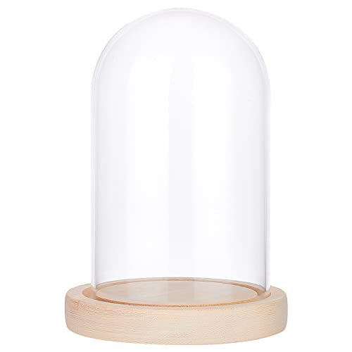 NBEADS Glasglocke mit Holzboden, 16,5 cm Hoch Transparente Glasbox Dome Cloche Glas Display halbrund Klare Dekorative Vitrine mit Tablett für Valentinstag Ewige Rose Lichterketten schmuck Antiquitäten von nbeads