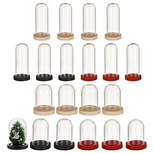 nbeads 12 Sets Mini Deko Glasglocke, 2 Größen Ewige BLUMENNn Glaskuppel Glocke Transparente Glasbox Dome Cloche Glas Display Klare Dekorative Vitrine Mit 3 Farben Holzsockel Für Tafelaufsätze Steine von nbeads