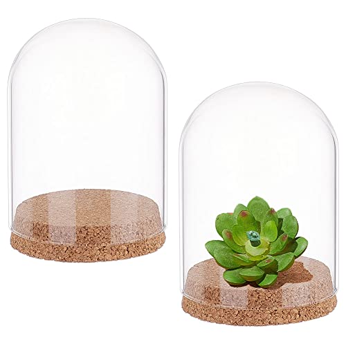 nbeads 2 Sets Deko Glasglocke, 12x9 cm Mini Glaskuppel Ewige Blume Glas Display Dome Cloche Halbrunde Transparente Glas Display Dekorative Vitrine Mit Korkboden für Valentinstag Steine Proben Kunst von nbeads