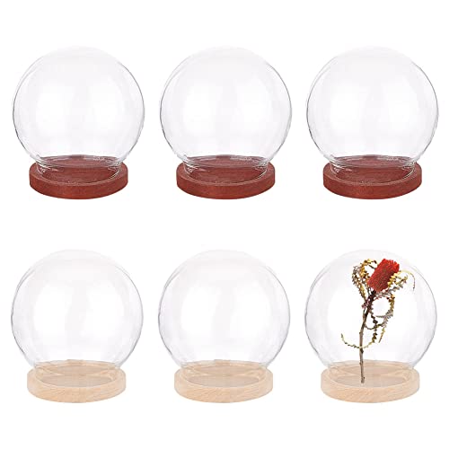 nbeads 6 Stück Mini Deko Glasglocke mit Holzboden, 40mm Runde Transparente Glasbox Dome Cloche Glas Display Klare Dekorative Vitrine Mit Holzsockel Für Tafelaufsätze Pflanzen Steine Proben von nbeads