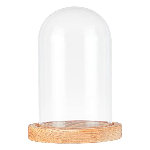 nbeads Deko Glasglocke mit Holzboden, Transparente Glasbox Glas-Display Klare Dekorative Glas Deko Vitrine mit Tablett für Valentinstag Ewige Rose Lichterketten Kuchen afelschmuck und Antiquitäten von nbeads