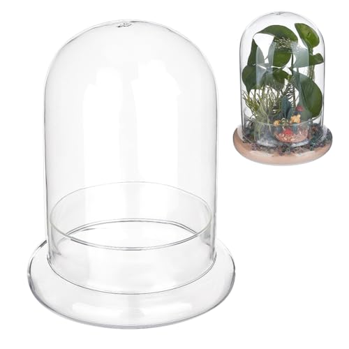 nbeads Dekorative Glaskuppel Abdeckung, 15x20cm Terrarium-Display-Kuppel Klarglas-Display-Kuppelabdeckung mit Sockel für Tafelaufsätze Pflanzen Felsen Exemplare Dekorationen Kunsthandwerk nbeads Dekorative Glaskuppel Abdeckung, 15x20cm Terrarium-Display-Kuppel Klarglas-Display-Kuppelabdeckung mit Sockel für Tafelaufsätze Pflanzen Felsen Exemplare Dekorationen Kunsthandwerk von nbeads