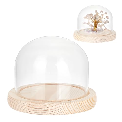 nbeads Glas Display Kuppel Cloche, 12.5x9.5cm Ewige Blume Glas Cloche Bell Jar Glas Display mit Hellgelbem Holzsockel für Valentinstag Blume Sammlerstücke Figur Dekorationen Crafts nbeads Glas Display Kuppel Cloche, 12.5x9.5cm Ewige Blume Glas Cloche Bell Jar Glas Display mit Hellgelbem Holzsockel für Valentinstag Blume Sammlerstücke Figur Dekorationen Crafts von nbeads