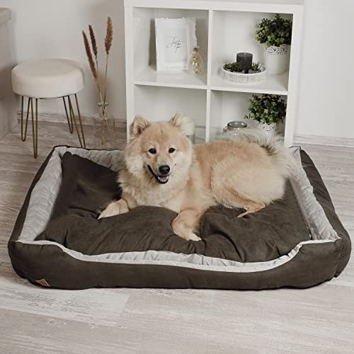 ne&no® Hundebett 2 in 1 [kühlender und wärmender Stoff] | Hundebett mittelgroße Hunde | waschbares Hundebett 80x60 | Hunde Bettchen mittel | Hundekörbchen mittelgroße Hunde von ne&no