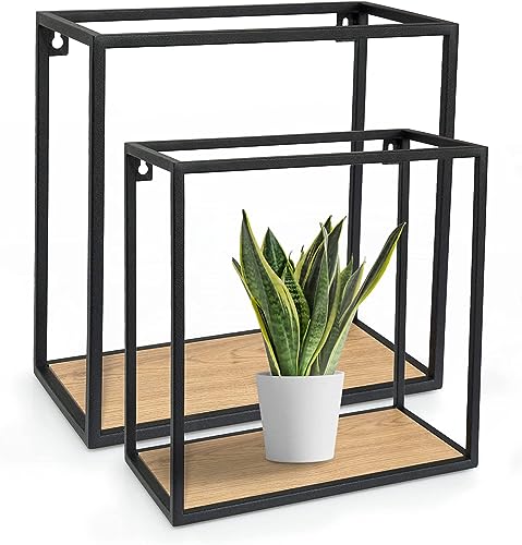 nebu! Wandregal aus Metall und Holzoptik Schwarz - Set bestehend aus 2 Stück - Deko Wandregal klein - Leicht aufzuhängen Set in Würfelform hochwertig nebu! Wandregal aus Metall und Holzoptik Schwarz - Set bestehend aus 2 Stück - Deko Wandregal klein - Leicht aufzuhängen Set in Würfelform hochwertig von nebu!