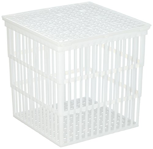 neoLab Polypropylen Korb mit Deckel, Weiß, 12l Kapazität, 229mm x 229mm x 229mm von neoLab