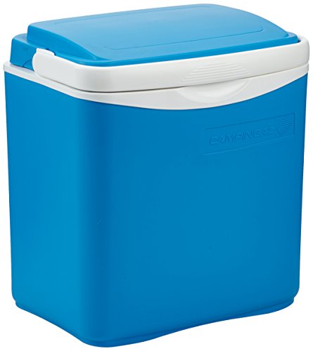 neoLab 1-7519 Kühlbox 26 L, 35 cm x 22 cm x 38 cm von neoLab