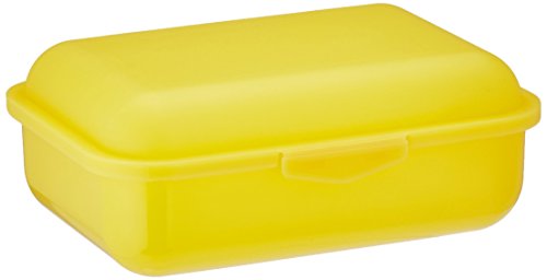 neoLab Polypropylen Multifunktionsbox, Gelb, 18cm x 13cm x 6,5cm von neoLab