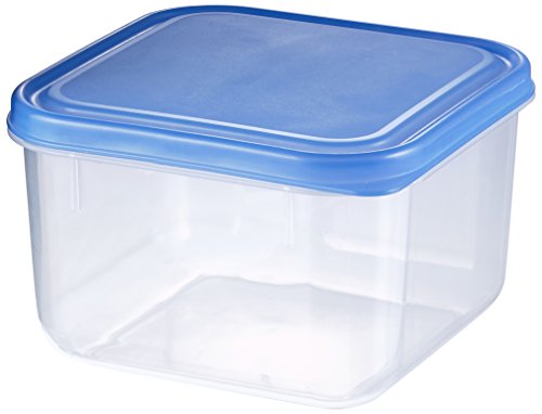 neoLab 2-1585 Tiefkühldose aus PP, 0,8 L neoLab 2-1585 Tiefkühldose aus PP, 0,8 L von neoLab