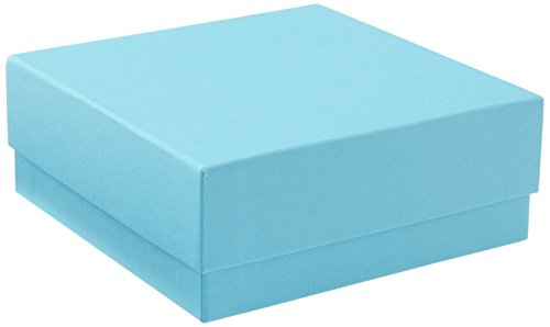 neoLab 2-2672 Kryo-Aufbewahrungsbox economy, 133 mm x 133 mm x 50 mm, Blau von neoLab