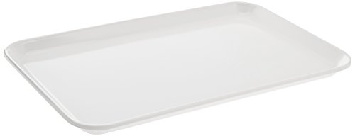 neoLab 2-3841 Instrumententablett aus Melamin, 30 x 19 x 2 cm von neoLab