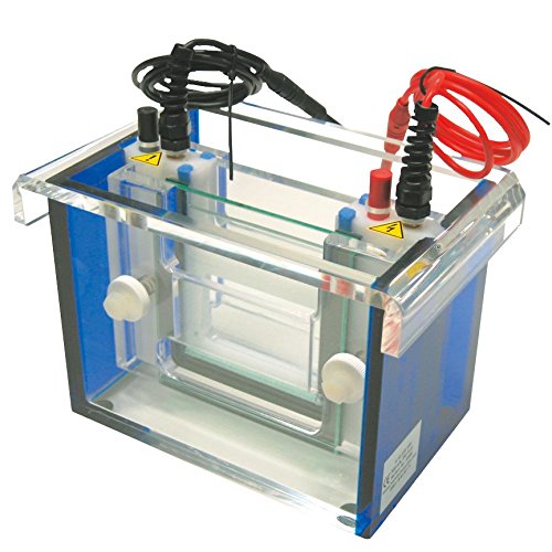 neoLab Gelelektrophoresekammer Mini vertikal, Komplett neoLab Gelelektrophoresekammer Mini vertikal, Komplett von neoLab