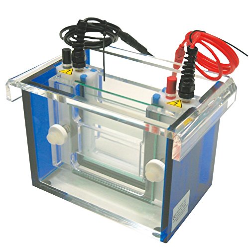 neoLab Kamm für Gelelektrophoresekammer Mini, 8 Zähnen, 90µL Volumen Taschen, 1mm Dicke x 7.1mm Breite neoLab Kamm für Gelelektrophoresekammer Mini, 8 Zähnen, 90µL Volumen Taschen, 1mm Dicke x 7.1mm Breite von neoLab