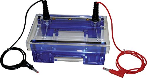 neoLab Elektrophoresekammer Mini Horizontal für Gelgröße 81 x 100mm und 81mm x 70mm, 22cm Länge x 13.5cm Breite x 9.5cm Höhe neoLab Elektrophoresekammer Mini Horizontal für Gelgröße 81 x 100mm und 81mm x 70mm, 22cm Länge x 13.5cm Breite x 9.5cm Höhe von neoLab