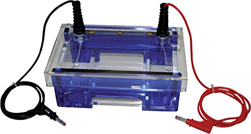 neoLab 7-0155 Elektrophoresekammer Mini horizontal für Gelgröße, 81 x 100 mm und 81 mm x 70 mm von neoLab