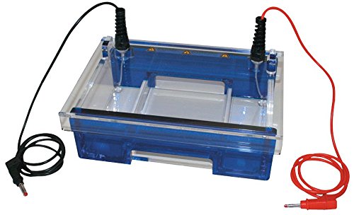 neoLab Elektrophoresekammer Midi Horizontal, Komplett, 26cm Länge x 18.5cm Breite x 9.5cm Höhe von neoLab