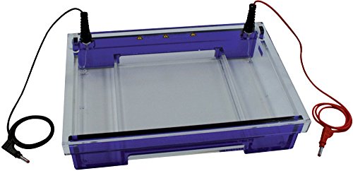 neoLab Kamm für Elektrophoresekammer, 30 Taschen, 30µL Ladevolumen, Grau, 5.0mm Breite x 1.5mm Dicke neoLab Kamm für Elektrophoresekammer, 30 Taschen, 30µL Ladevolumen, Grau, 5.0mm Breite x 1.5mm Dicke von neoLab