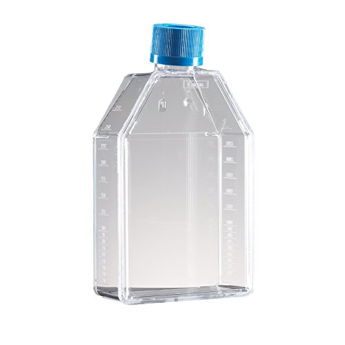 Falcon Polystyrol Zellkulturflaschen, Schräger Hals, 250mL Kapazität, 100 Stück von Falcon