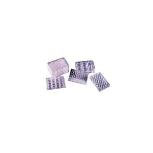 Falcon Polystyrol Zellkulturplatten, 12 Vertiefungen, Flach, Transparent, 50 Stück von Falcon