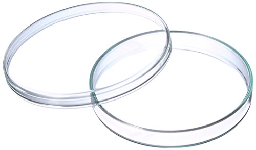 neoLab Borosilikatglas Petrischalen Anumbra, Transparent, 100mm Durchmesser, 15mm Höhe, 5 Stück von neoLab