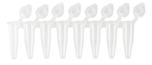 neoLab Polypropylene PCR 8er-Streifen mit Flachen Deckeln, Normalprofil, 0,2mL, Klar, 120 Stück neoLab Polypropylene PCR 8er-Streifen mit Flachen Deckeln, Normalprofil, 0,2mL, Klar, 120 Stück von neoLab