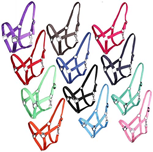 NETPROSHOP Halfter ODER Führstrick Einfarbig für Ihre Lieblinge Mini Shetty bis XL Full, Groesse:Pony, Farbe:Hellblau von NETPROSHOP