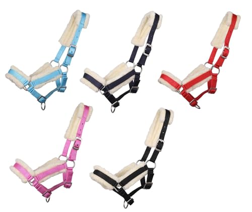 NETPROSHOP Weiches Fohlenhalfter 3-Fach Verstellbar Gepolstert Falabella Shetty Pony Full, Groesse:Fohlen Full, Farbe:Hellblau von NETPROSHOP