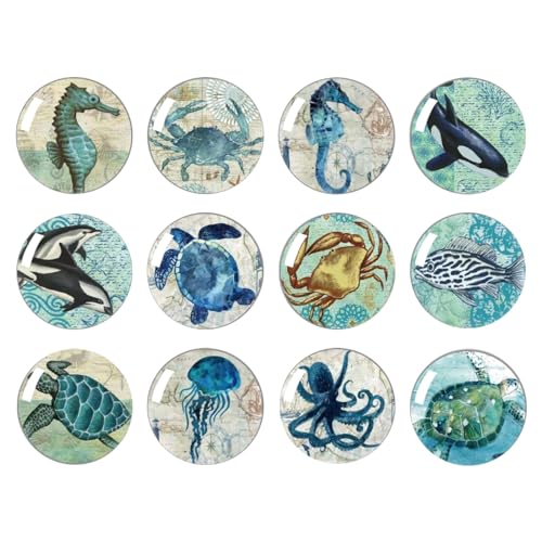 Starke Glas-Kühlschrank-Aufkleber, 12 Magnete für Kühlschrank, lustige Kühlschrankmagnet-Form, niedlicher kleiner kleiner Magnet für Küche, Whiteboard, Tür, dekorativ (Meerestiere, von ngaty