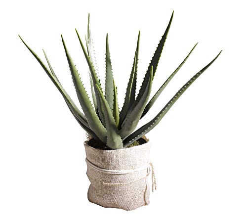 nicht zutreffend Kunstpflanze Dekopflanze | Aloe Vera | Höhe ca. 70 cm | Kunststoff von nicht zutreffend
